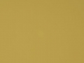 Golden Tan