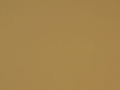 Teak