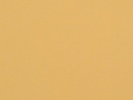 cashew