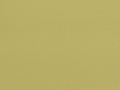 celery