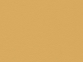 chamois