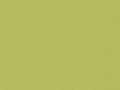 scallion