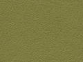 courier-cactus