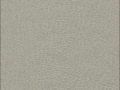 courier-white-line