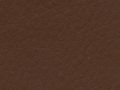 destiny-chestnut
