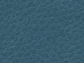 destiny-patina