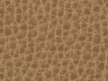 ovation-terra