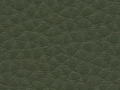prestige-khaki