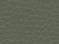 prestige-tree-moss