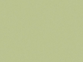 pistachio
