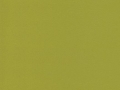 wasabi