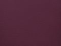 merlot