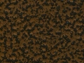 coppertone
