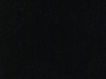 wet-black