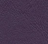 wood-violet