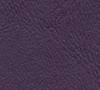 wood-violet