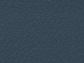 slate-blue