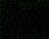 yew-green
