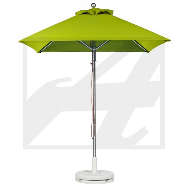 Umbrella D